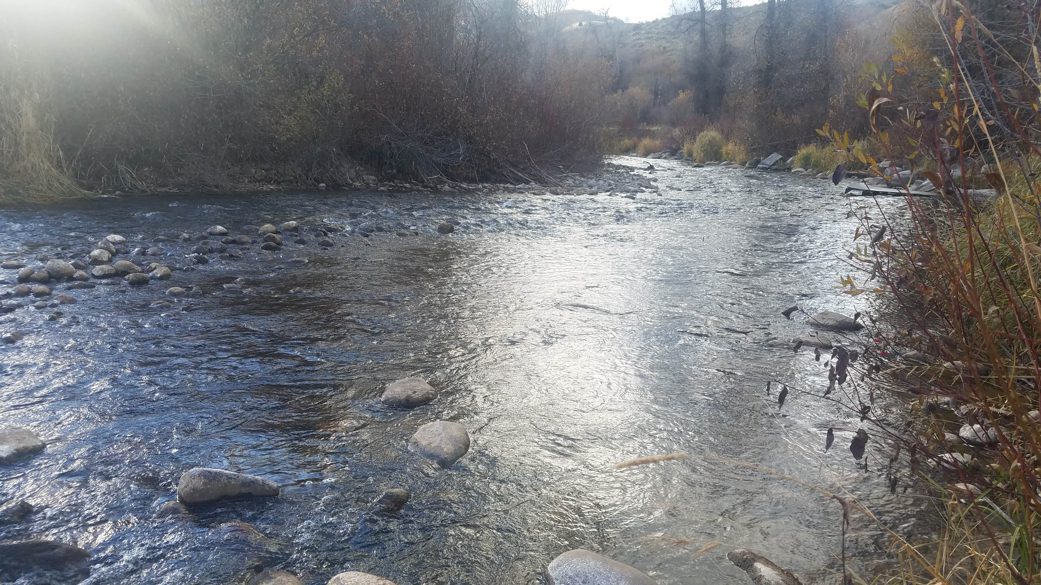 Camper submitted image from Willows Campground (Ut) — Uinta Wasatch Cache National Forest - 4