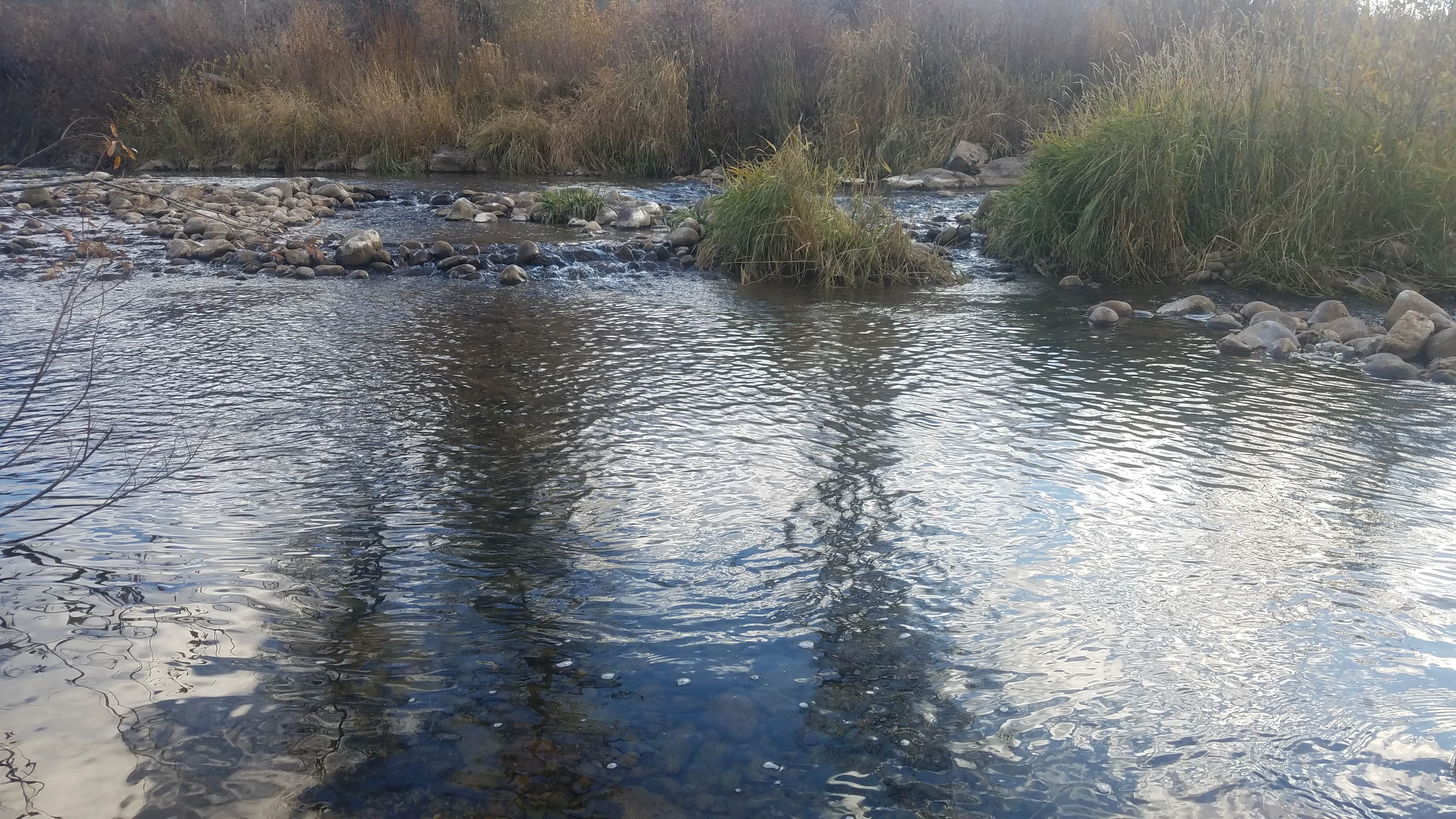 Camper submitted image from Willows Campground (Ut) — Uinta Wasatch Cache National Forest - 3