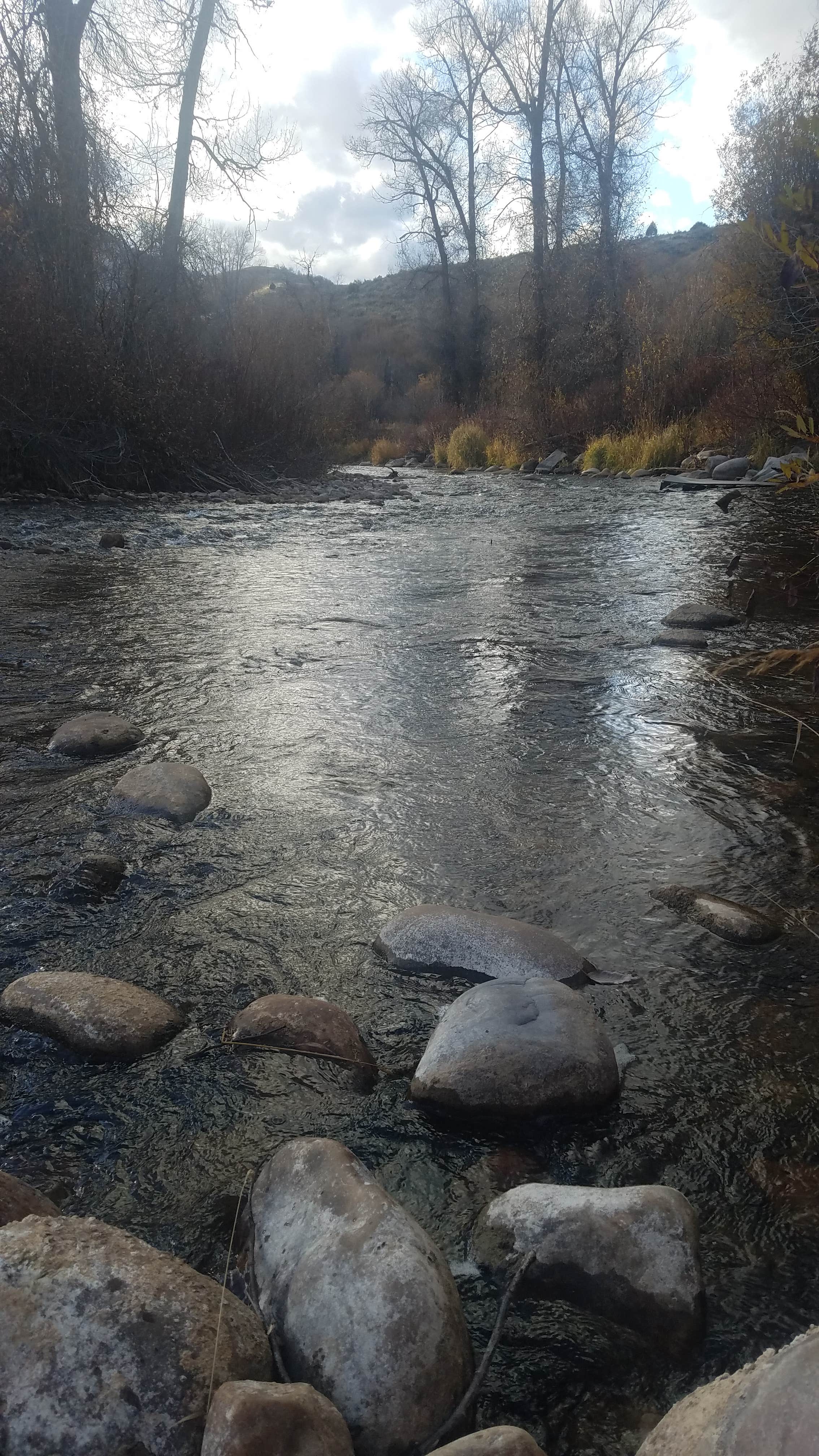 Camper submitted image from Willows Campground (Ut) — Uinta Wasatch Cache National Forest - 1