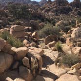 Review photo of Cottonwood Campground — Joshua Tree National Park by Myrna G., October 23, 2019