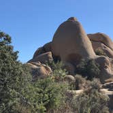 Review photo of Cottonwood Campground — Joshua Tree National Park by Myrna G., October 23, 2019