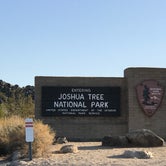 Review photo of Cottonwood Campground — Joshua Tree National Park by Myrna G., October 23, 2019