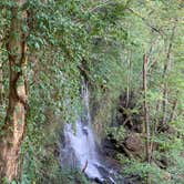 Review photo of Rock Island State Park Campground by Jon S., October 23, 2019