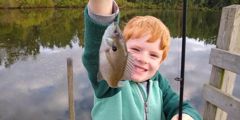 Camper submitted image from Sleepy Hollow State Park Campground