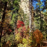 Review photo of Cave Springs by David K., October 24, 2019