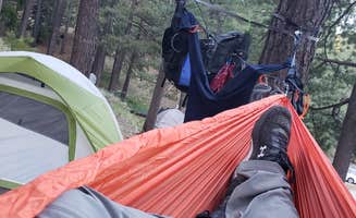 David K.'s photo at Rose Canyon Campground near Tucson, AZ