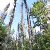 Review photo of Bumping Lake Campground by Jess G., June 26, 2017