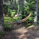 Review photo of Bumping Lake Campground by Jess G., June 26, 2017