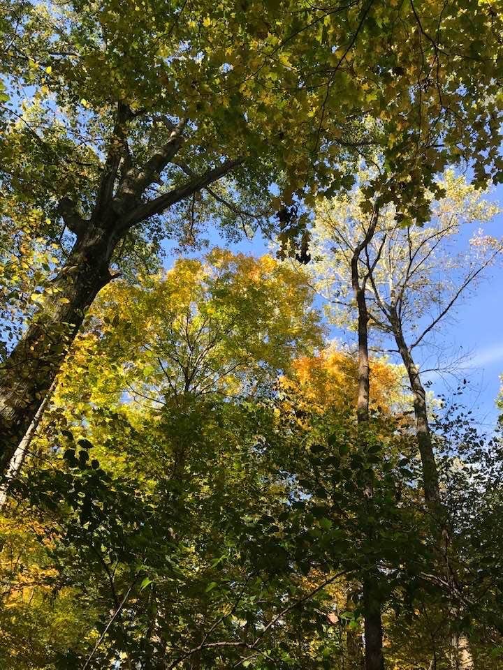 Slowly changing colors