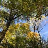 Review photo of Mt Gilead State Park Campground by Bobby C., October 24, 2019