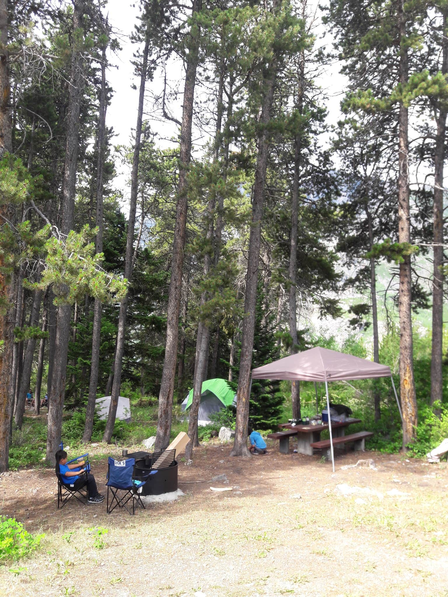 Wendell M.'s photo at East Rosebud Campground near Fishtail, MT