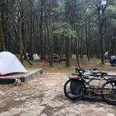 Review photo of Nehalem Bay State Park Campground by Lauri P., October 24, 2019