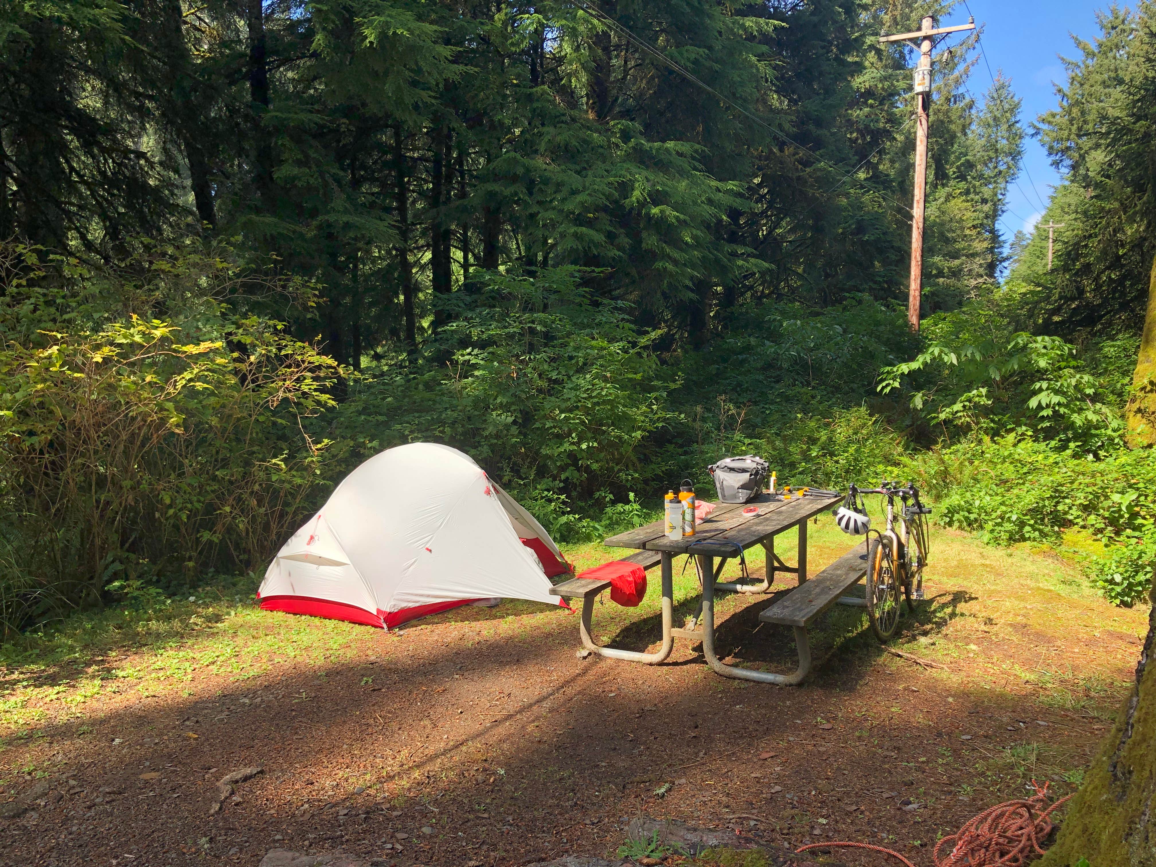 Lauri P.'s photo at Beverly Beach State Park Campground near Newport, OR