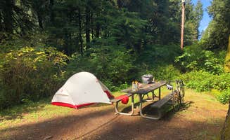 Lauri P.'s photo at Beverly Beach State Park Campground near Toledo, OR