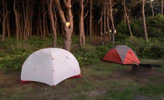 Lauri P.'s photo at Tillicum Beach Campground near Seal Rock, OR