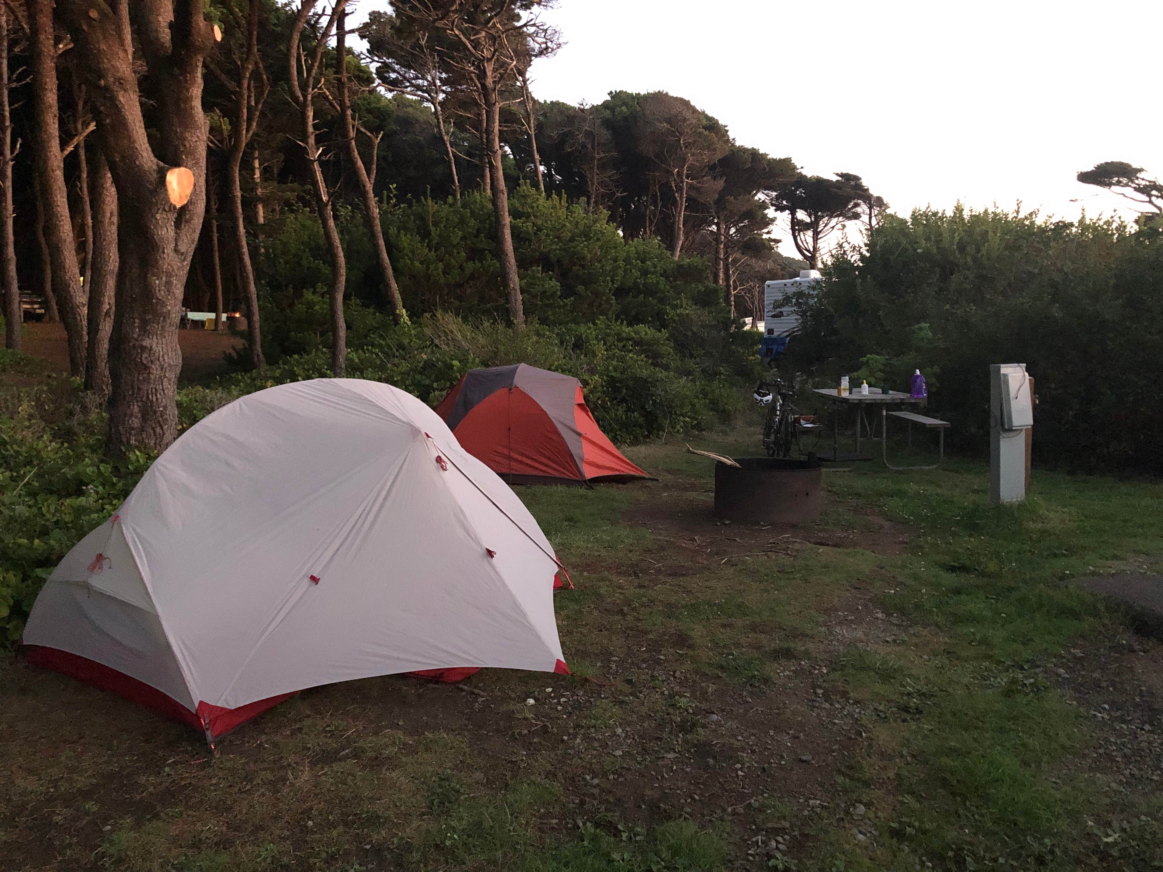 Lauri P.'s photo at Tillicum Beach Campground near Yachats, OR