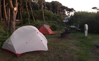 Lauri P.'s photo at Tillicum Beach Campground near Yachats, OR