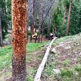 Review photo of Arapaho Bay Campground by Karl G., August 17, 2017