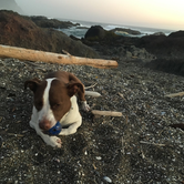 Review photo of Cape Perpetua by Jenna F., October 24, 2019