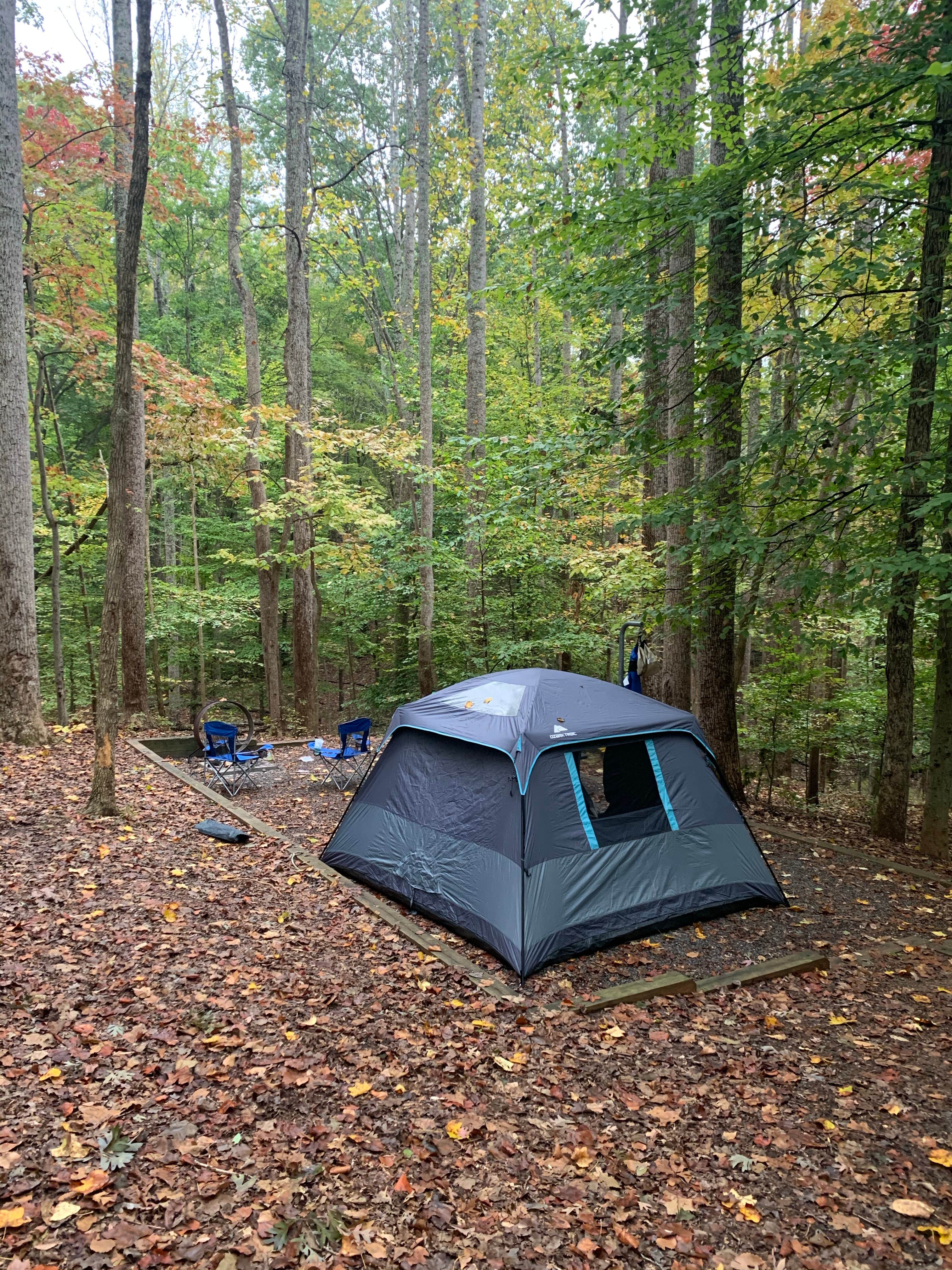 Jeremy E.'s photo at Smith Mountain Lake State Park Campground near Bedford, VA