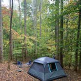 Review photo of Smith Mountain Lake State Park Campground by Jeremy E., October 24, 2019
