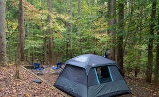 Jeremy E.'s photo at Smith Mountain Lake State Park Campground near Vinton, VA