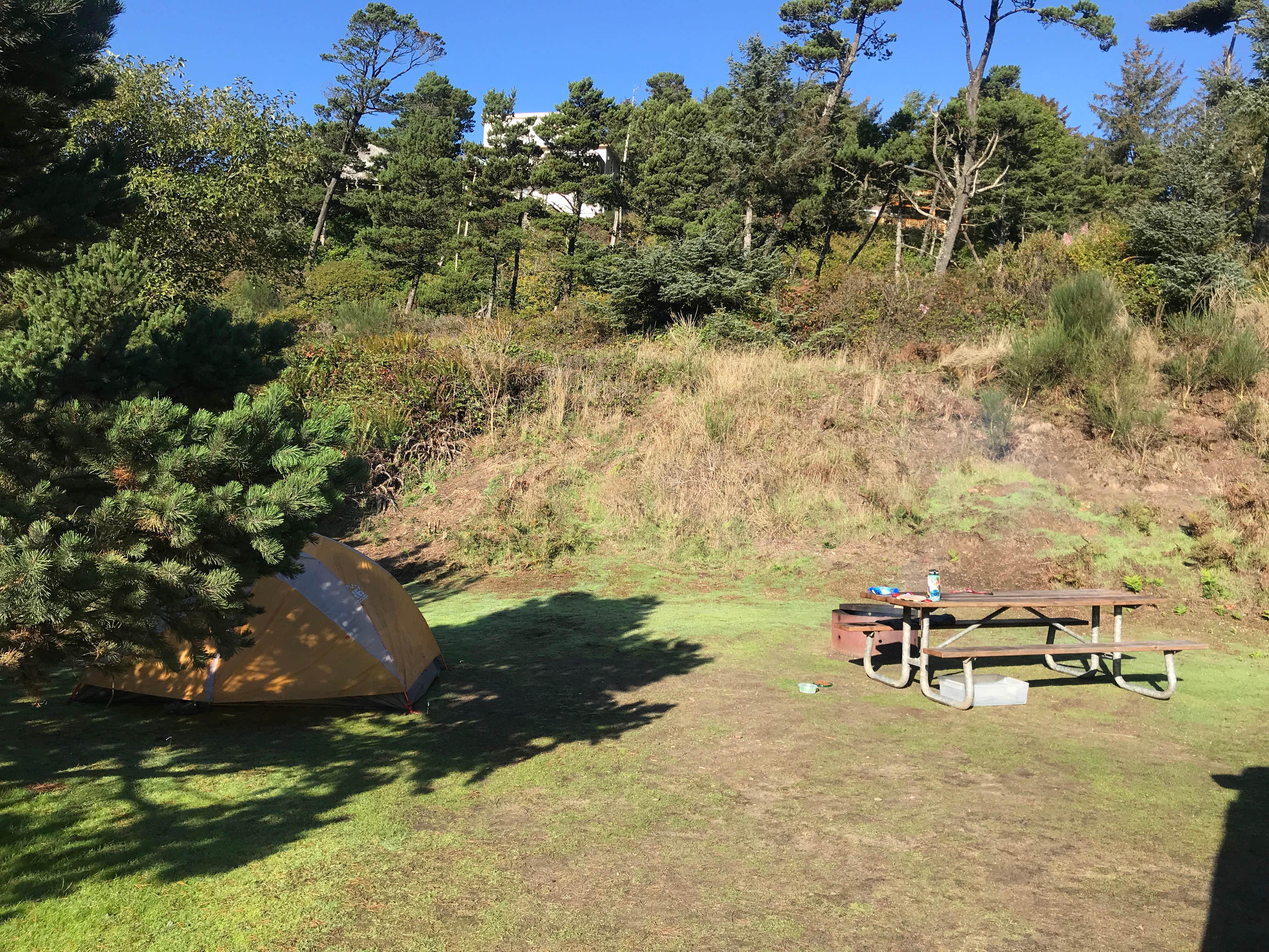 Camper submitted image from Webb County Campground & Park - 3