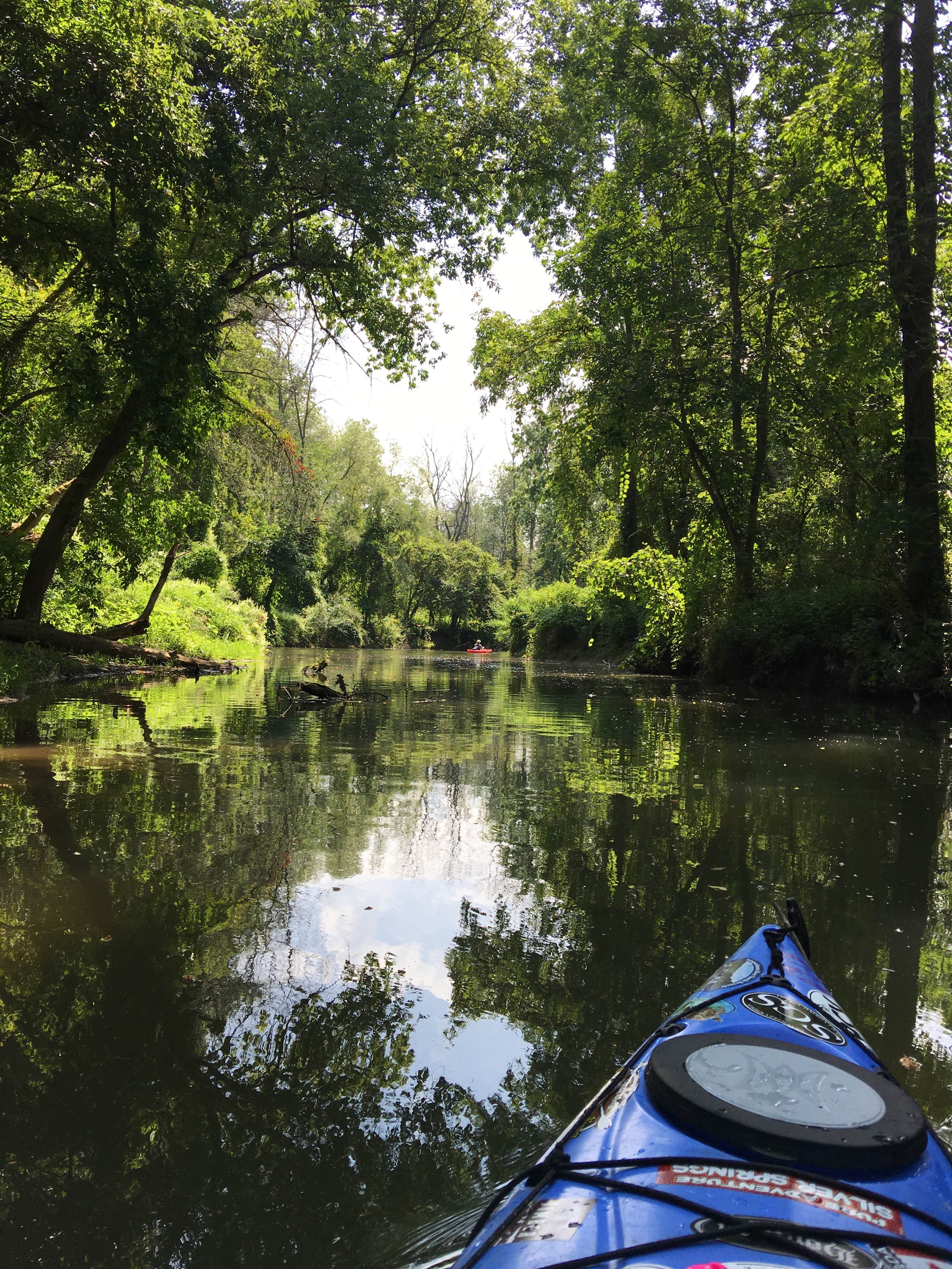 Camper submitted image from Keuka Lake State Park Campground - 5