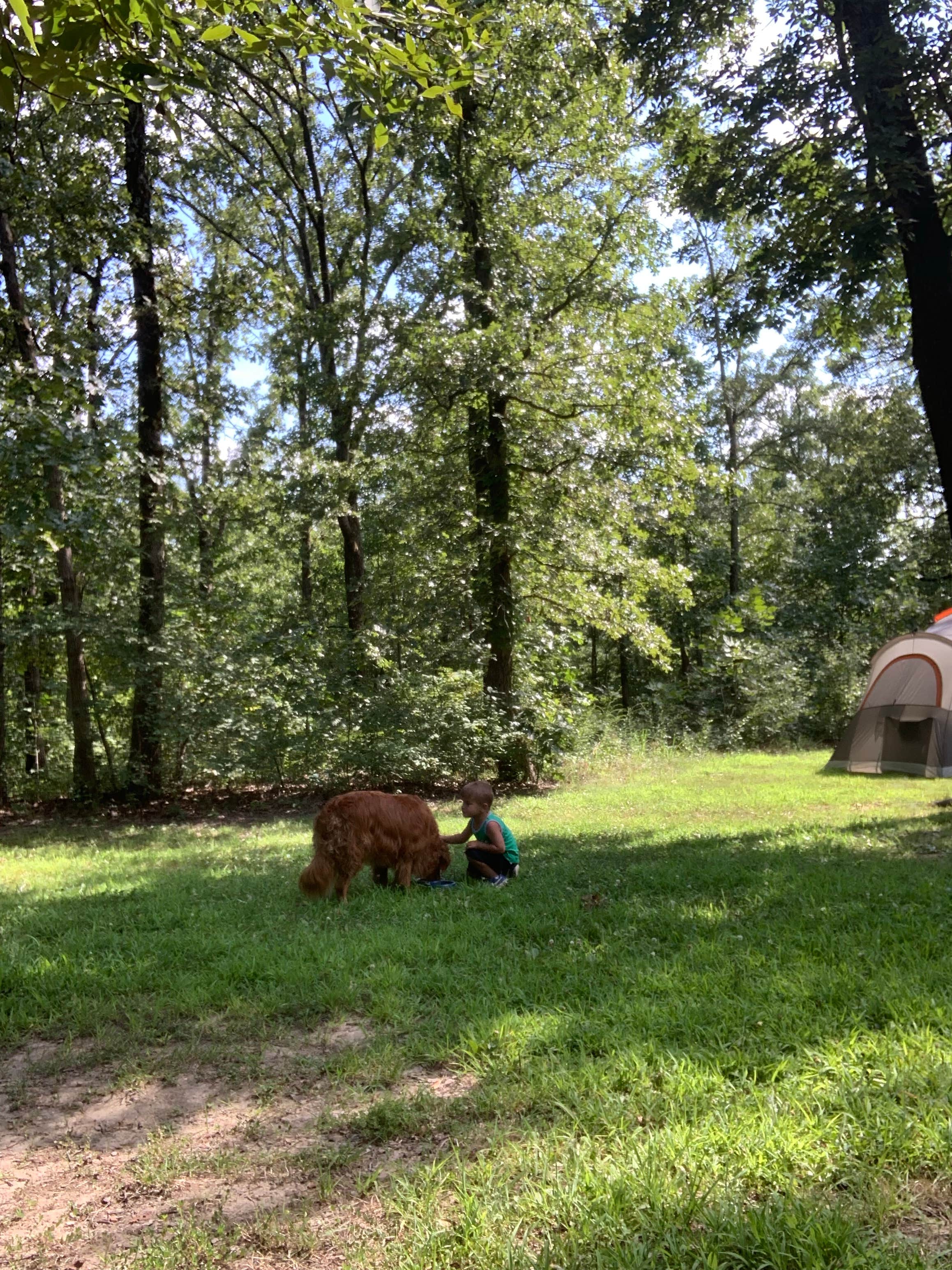 Amy S.'s photo at Washington State Park Campground near Fults, IL