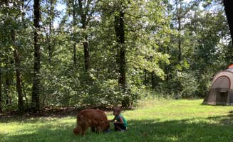 Amy S.'s photo at Washington State Park Campground near Potosi, MO