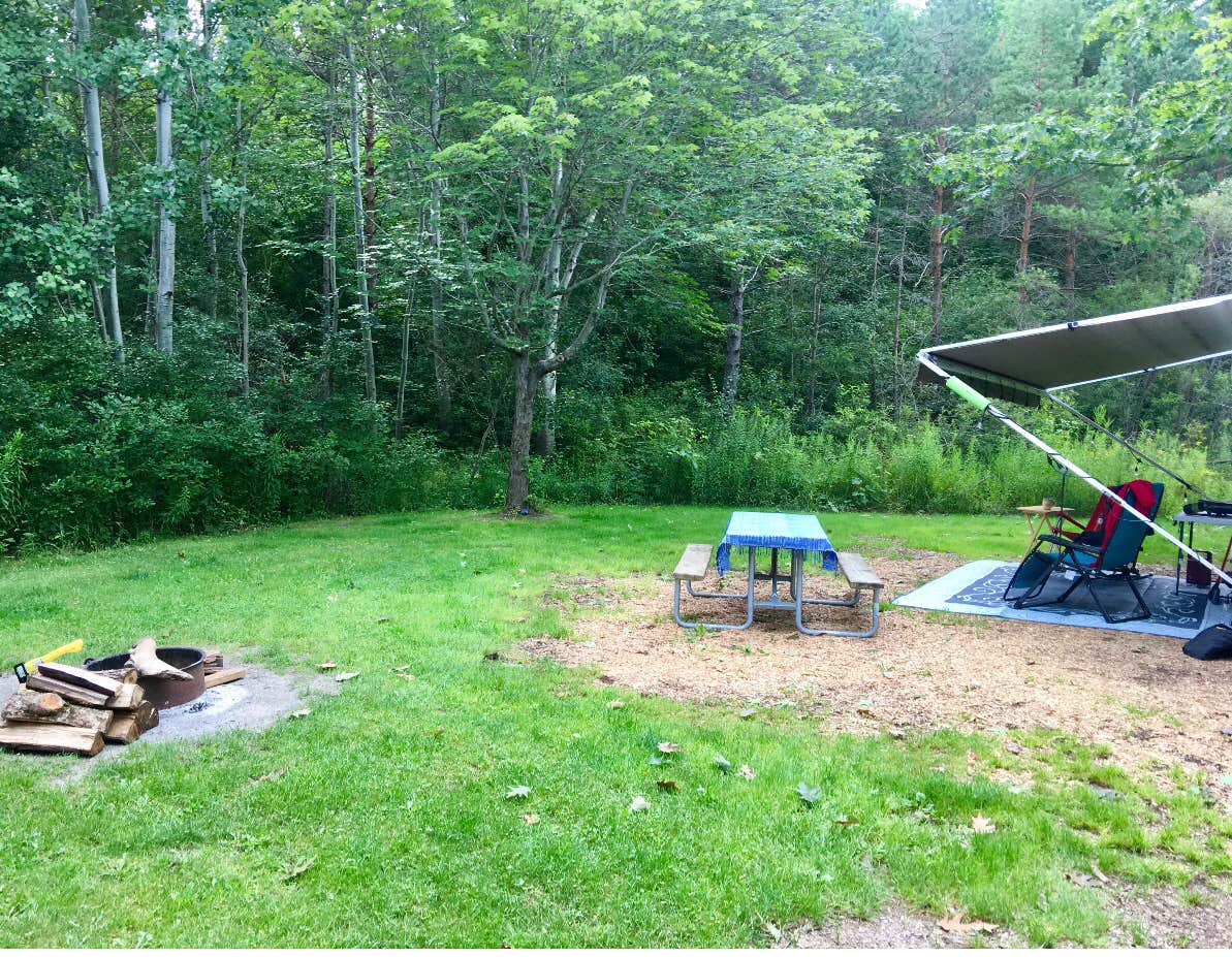 Camper submitted image from Keuka Lake State Park Campground - 3