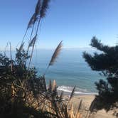 Review photo of New Brighton State Beach Campground by John and Trish N., October 24, 2019