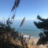 Review photo of New Brighton State Beach by John and Trish N., October 24, 2019