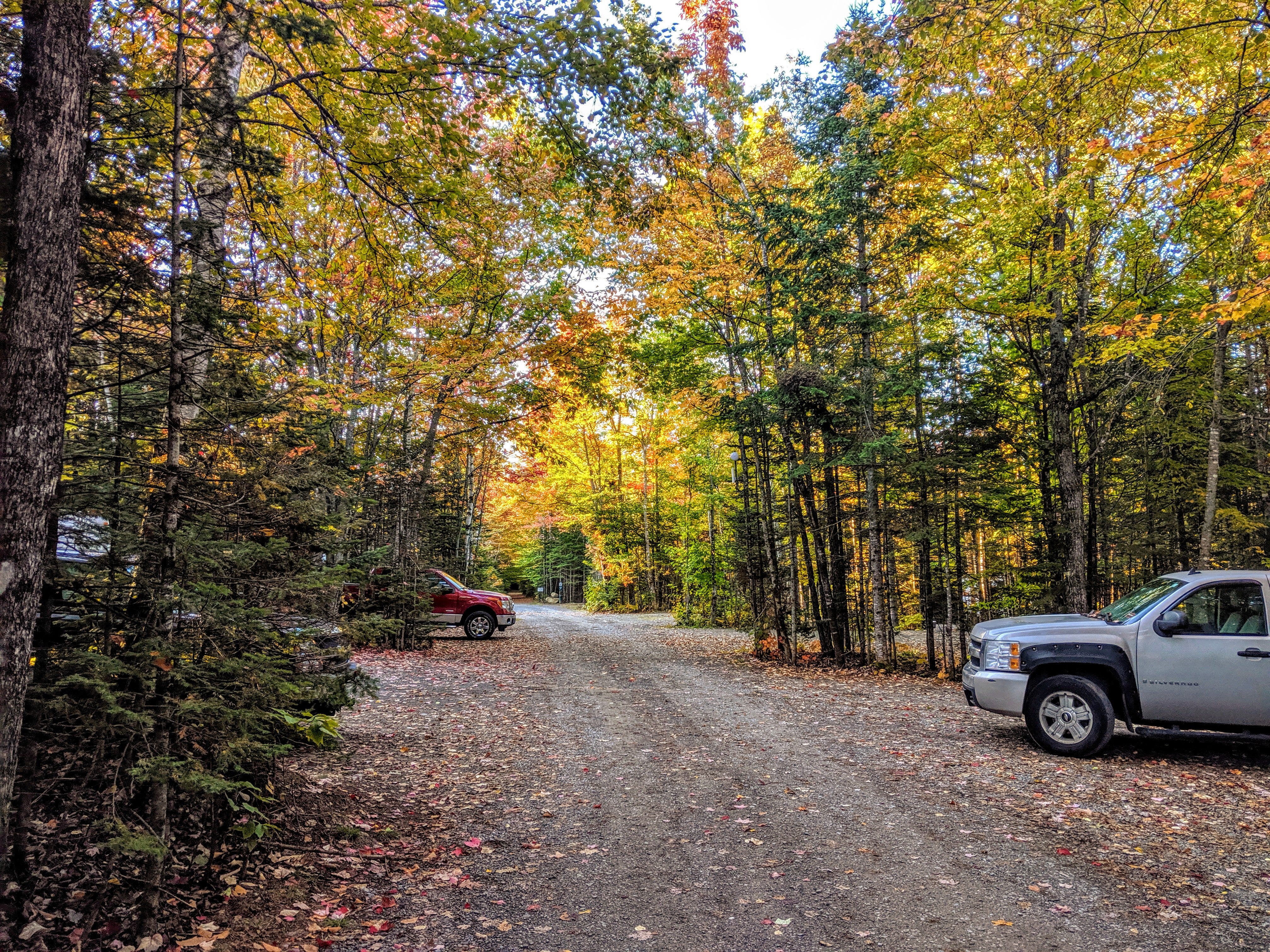A view down the main road of the campground.