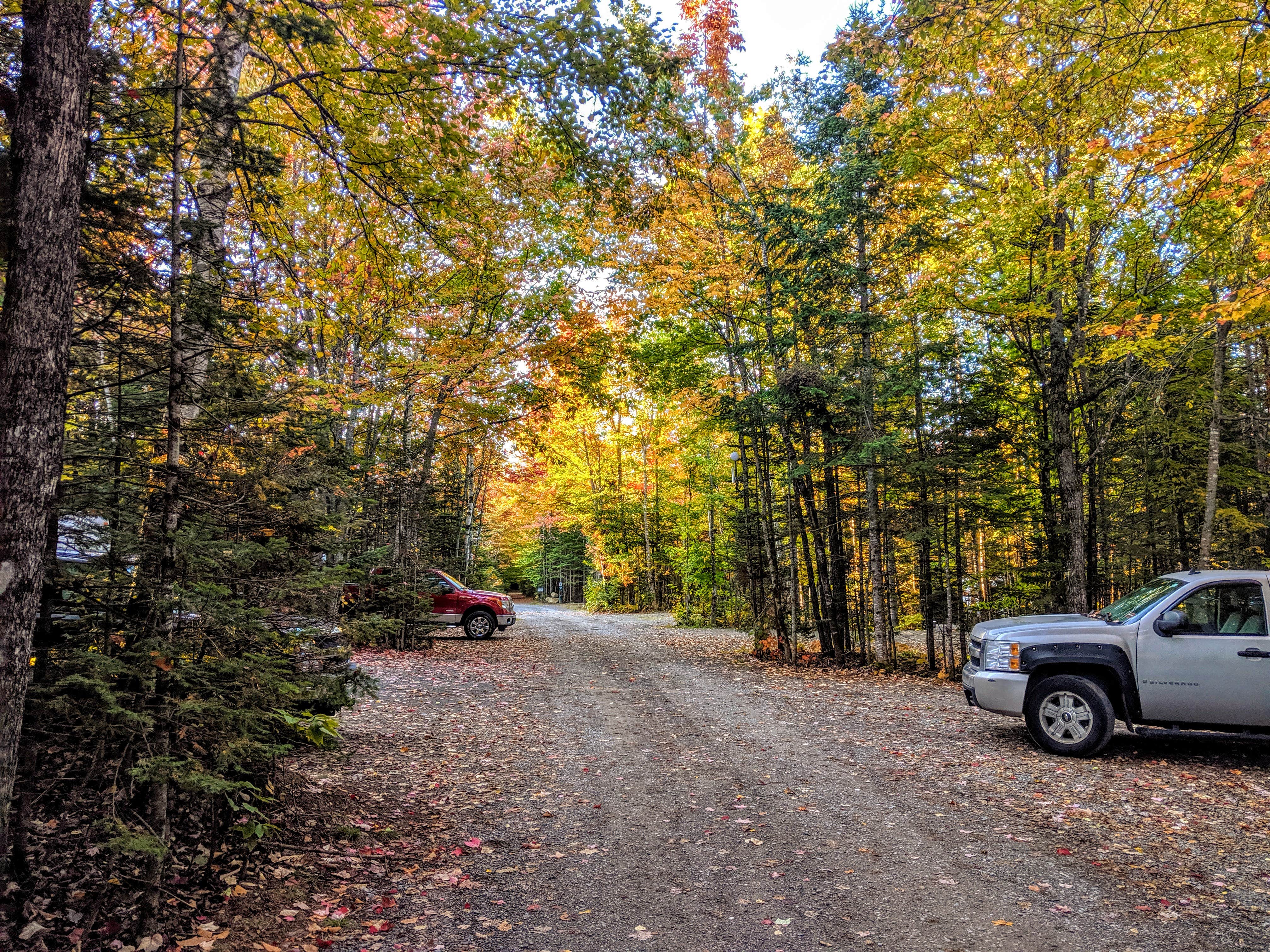 A view down the main road of the campground.