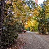 Review photo of Spacious Skies Balsam Woods by Shari  G., October 25, 2019