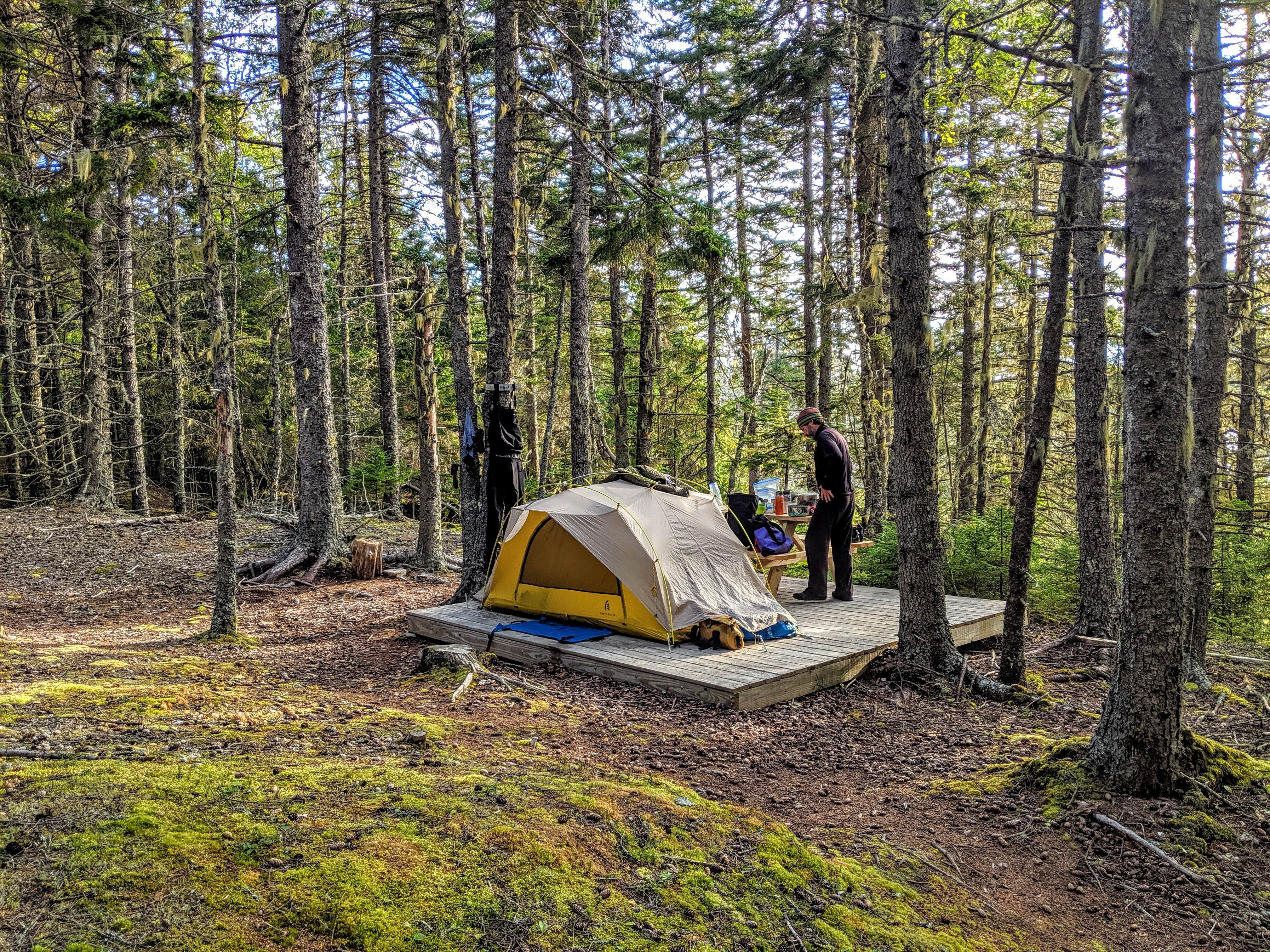 Shari  G.'s photo of a dispersed camping area at Marshall Island near Searsmont, ME