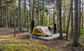 Shari  G.'s photo of a dispersed camping area at Marshall Island in Maine