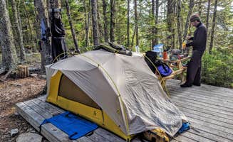 Shari G.'s photo of a dispersed camping area at Marshall Island near Castine, ME