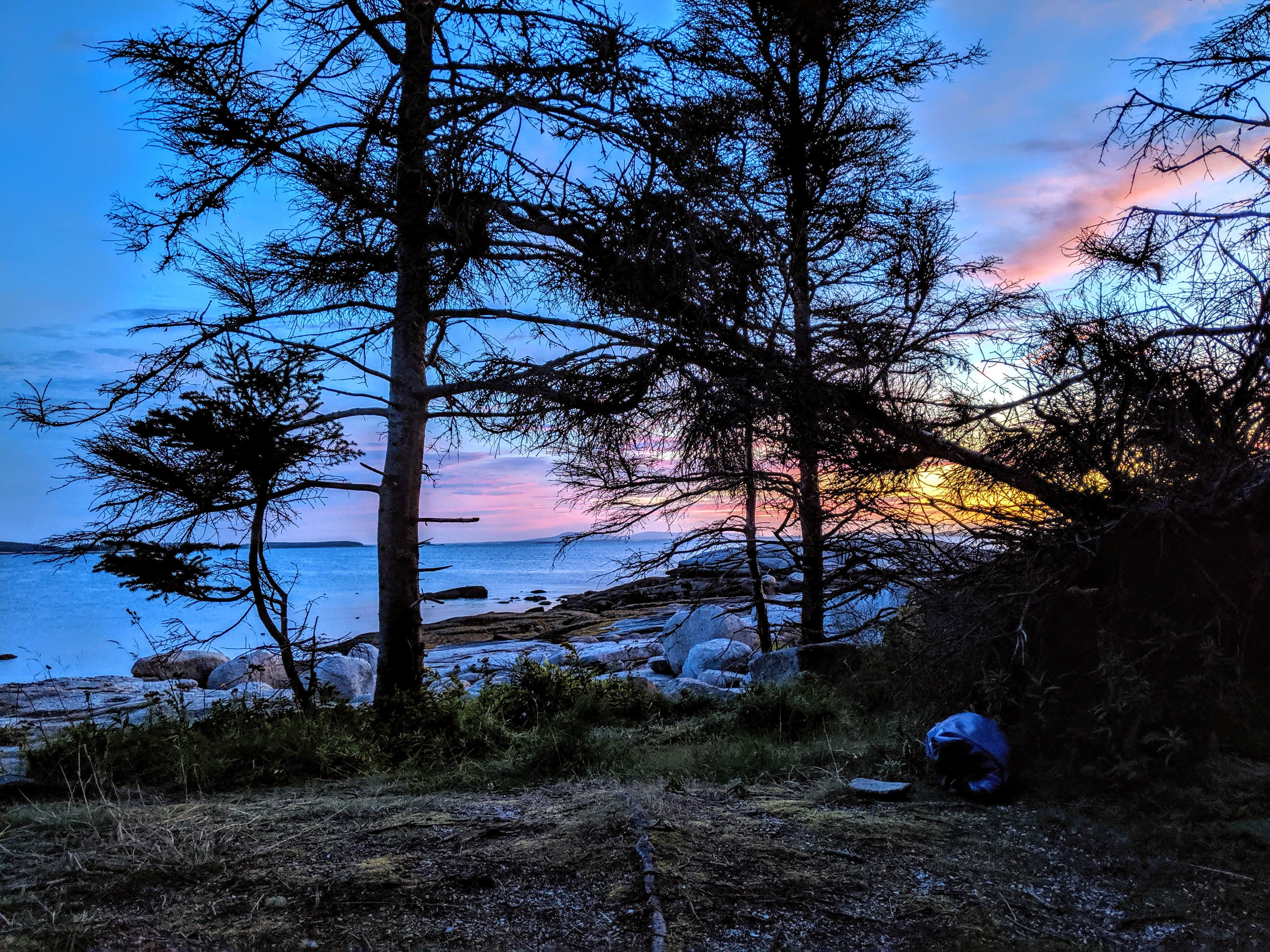 Shari  G.'s photo of a dispersed camping area at Wheat Island near Searsmont, ME