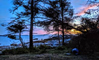 Shari  G.'s photo of a dispersed camping area at Wheat Island in Maine