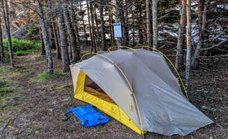 Shari G.'s photo of a dispersed camping area at Wheat Island near Sandy Point, ME