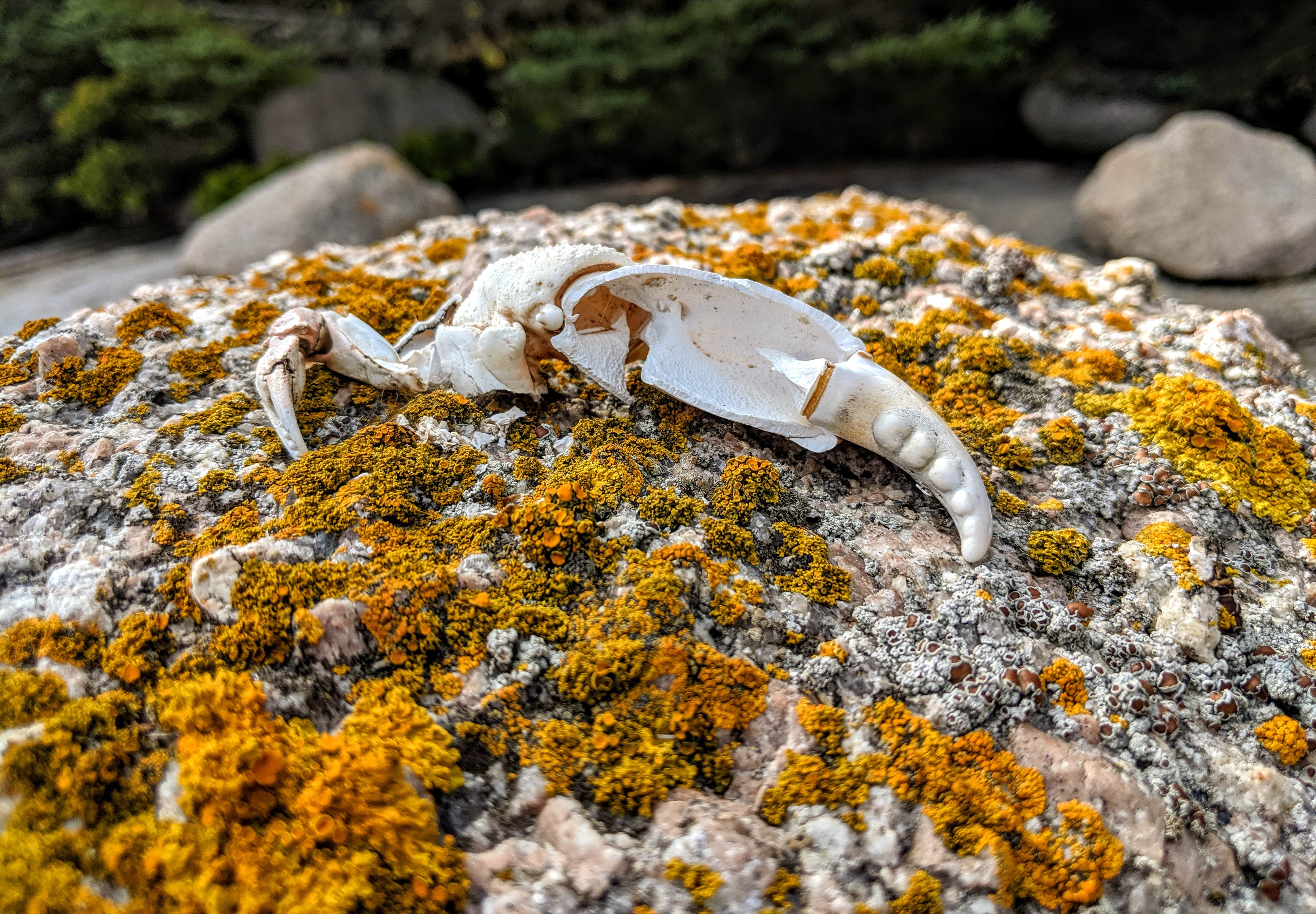Sea art abounds on these islands.