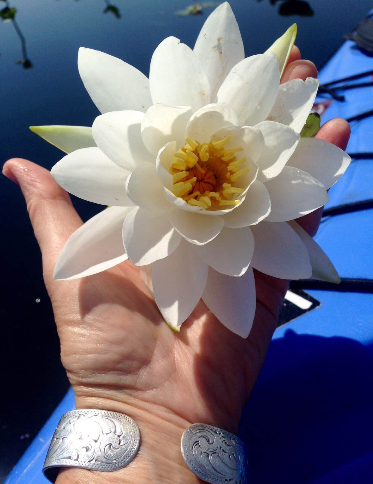 Camper-submitted photo at Black Moshannon State Park Campground near Lemont, PA