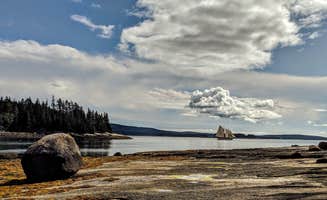 Shari G.'s photo of a dispersed camping area at Wheat Island near Castine, ME