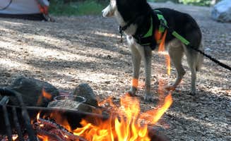 Edoardo A.'s photo of tent camping at Millard Trail Campground near Fullerton, CA