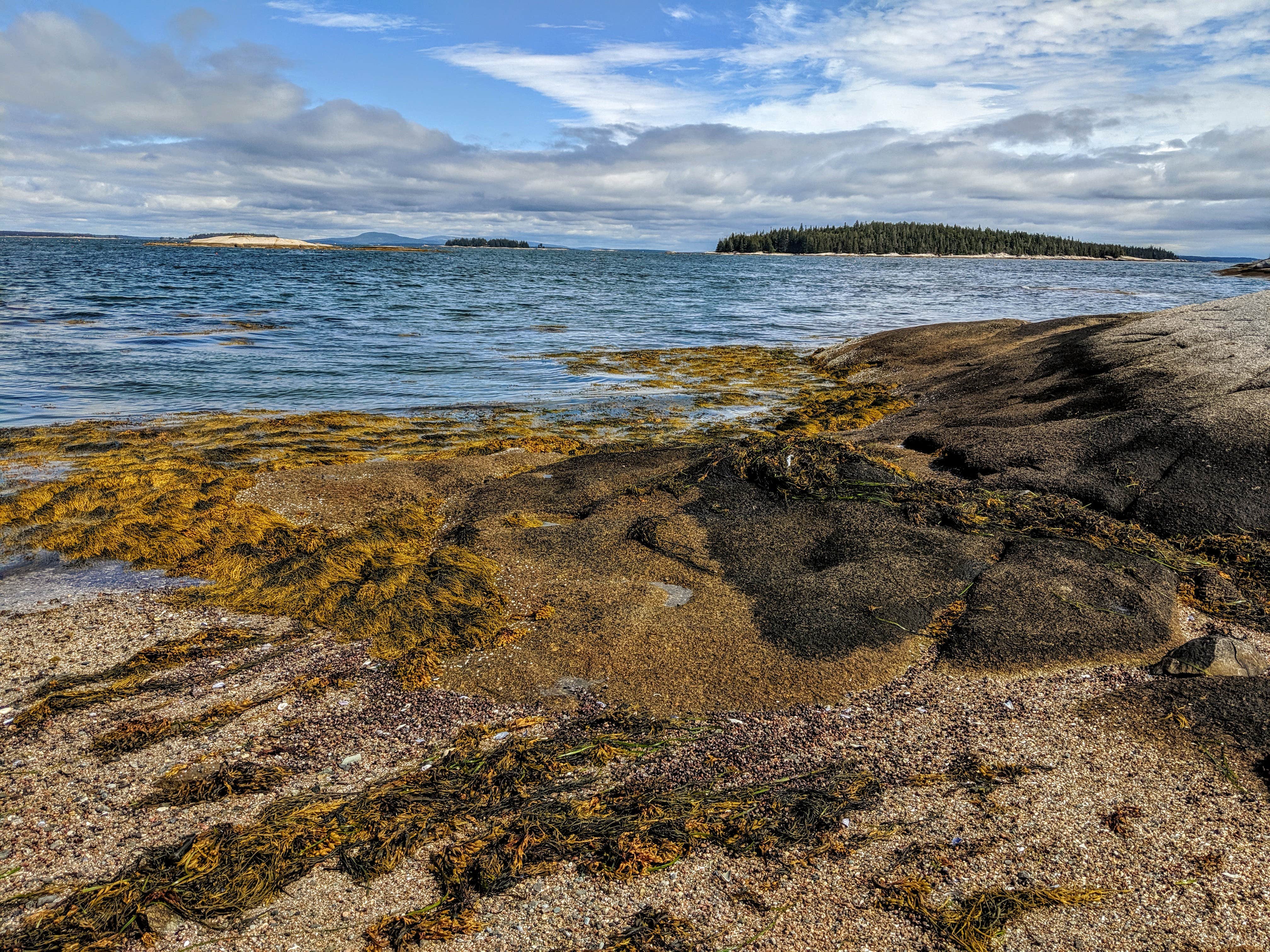 Camper-submitted photo at Buckle Island near Searsmont, ME