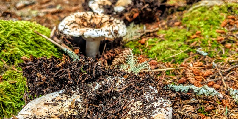 Camper submitted image from Buckle Island