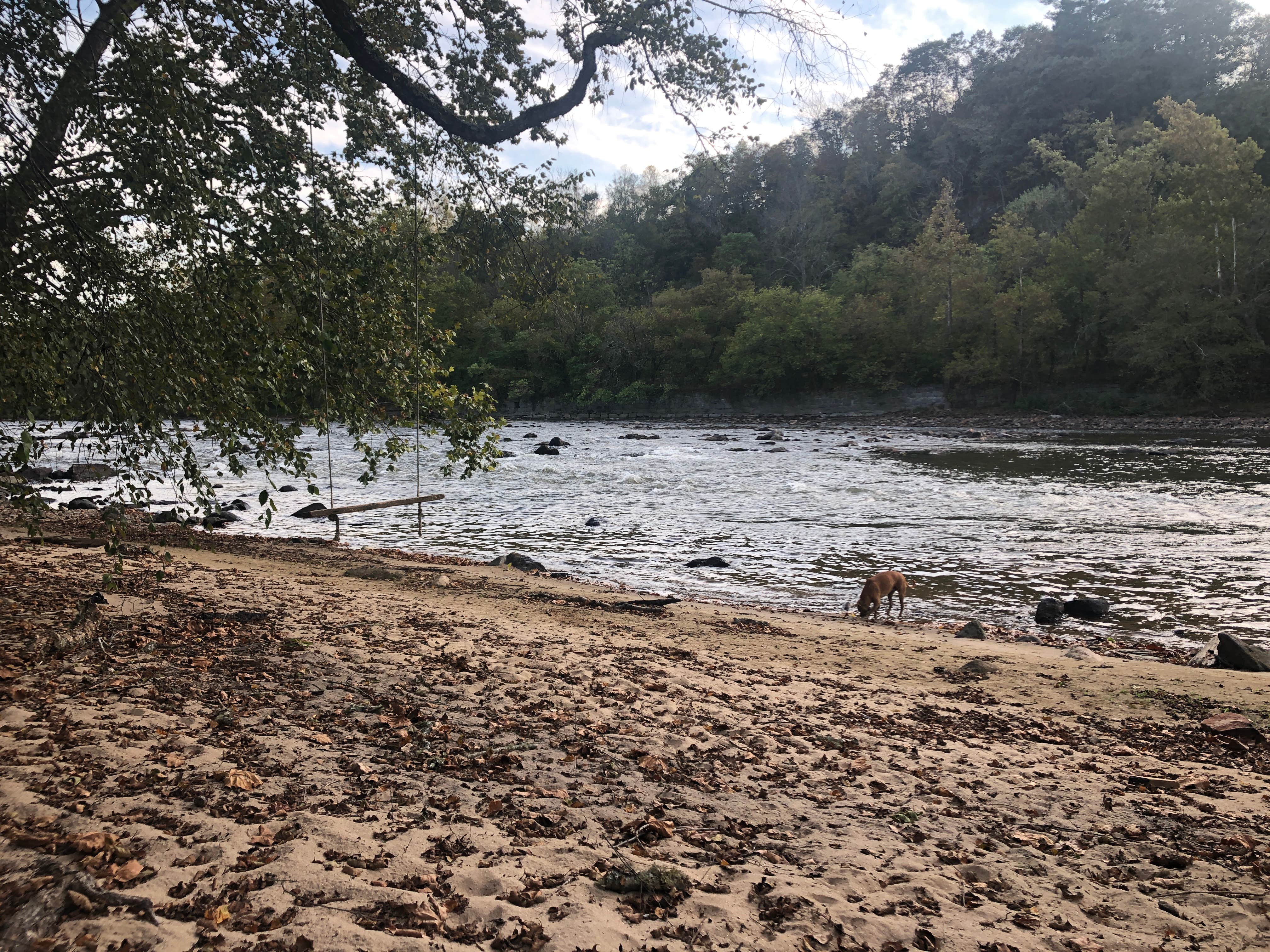 Camper-submitted photo at Camp Driftwood Asheville near Swannanoa, NC
