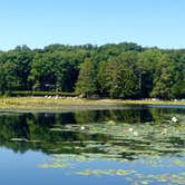 Review photo of Black Moshannon State Park Campground by Rebecca E., August 17, 2017